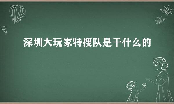 深圳大玩家特搜队是干什么的