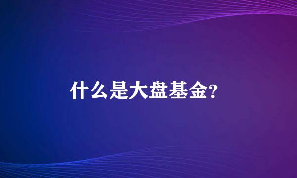 什么是大盘基金？