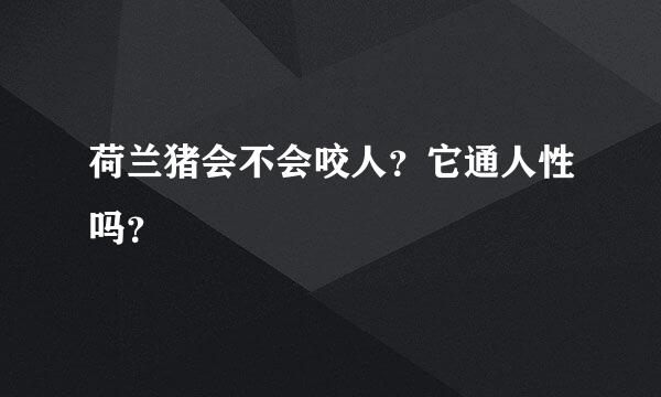 荷兰猪会不会咬人？它通人性吗？