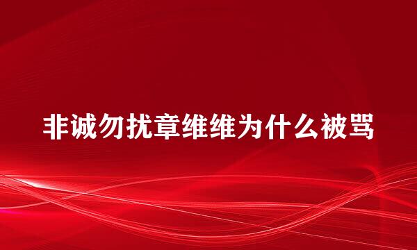 非诚勿扰章维维为什么被骂