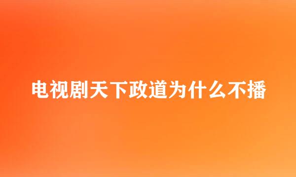 电视剧天下政道为什么不播