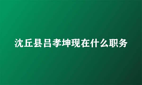 沈丘县吕孝坤现在什么职务