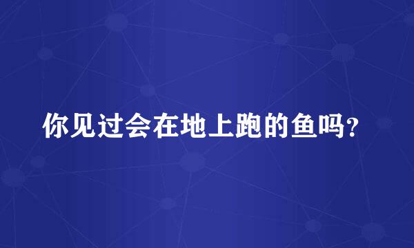 你见过会在地上跑的鱼吗？