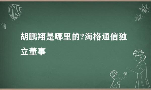 胡鹏翔是哪里的?海格通信独立董事