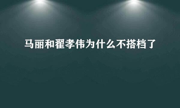 马丽和翟孝伟为什么不搭档了