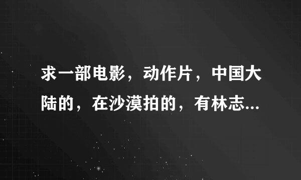 求一部电影，动作片，中国大陆的，在沙漠拍的，有林志玲，曾志伟，只记得一个小伙在一间木房打四个强盗?