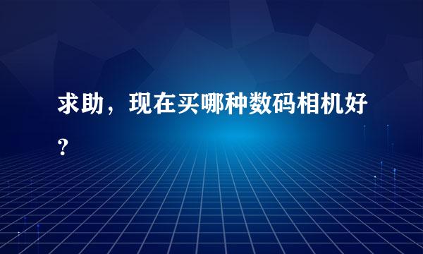 求助，现在买哪种数码相机好？