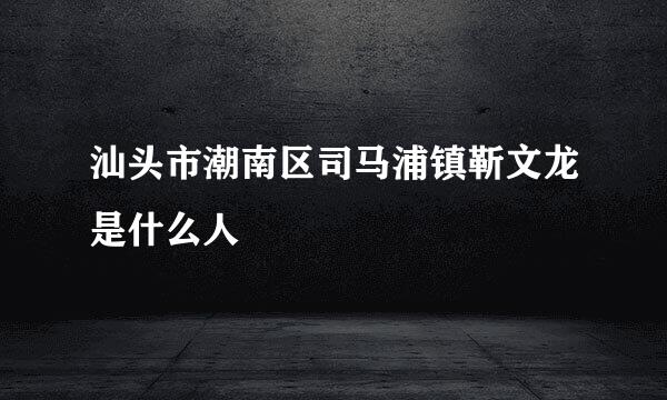 汕头市潮南区司马浦镇靳文龙是什么人