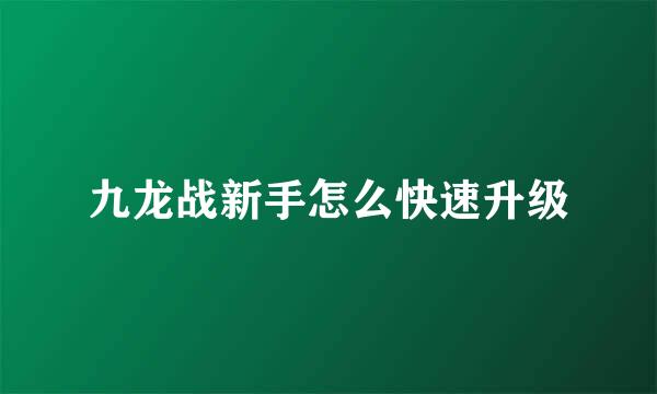 九龙战新手怎么快速升级