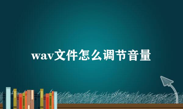 wav文件怎么调节音量