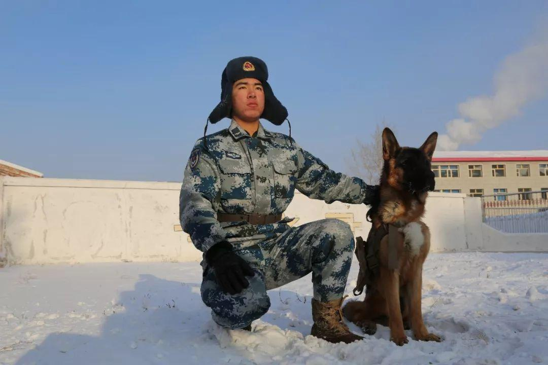 高空索降军犬抱紧特战队员胳膊上热搜，为何网友感觉好笑又心疼？