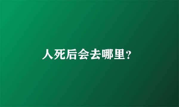 人死后会去哪里？