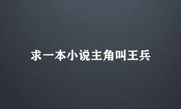 求一本小说主角叫王兵