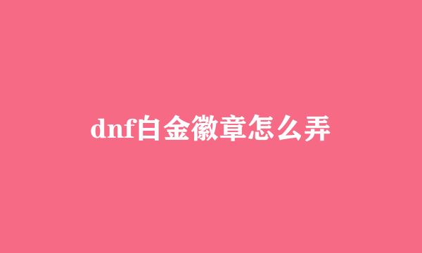 dnf白金徽章怎么弄