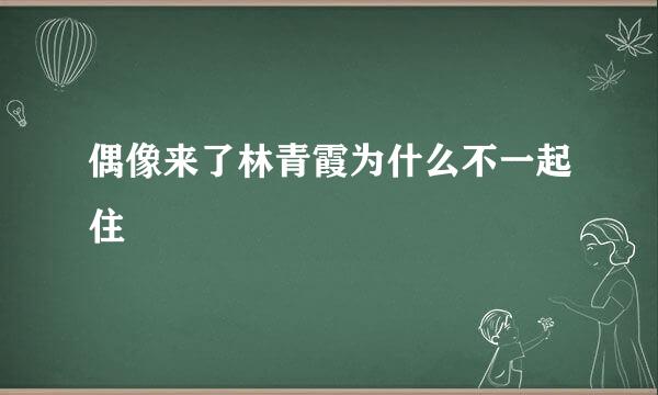 偶像来了林青霞为什么不一起住