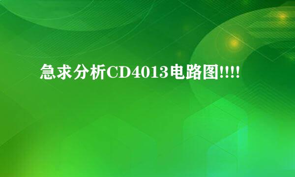 急求分析CD4013电路图!!!!