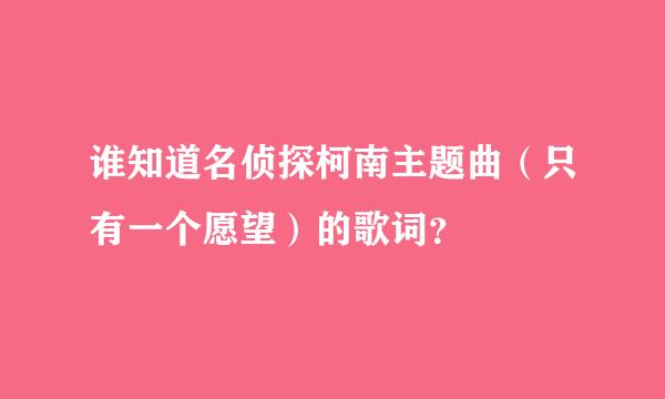 谁知道名侦探柯南主题曲（只有一个愿望）的歌词？