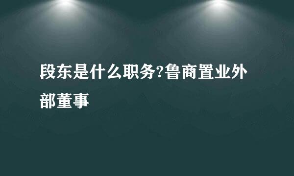 段东是什么职务?鲁商置业外部董事