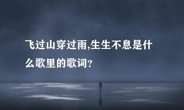 飞过山穿过雨,生生不息是什么歌里的歌词？