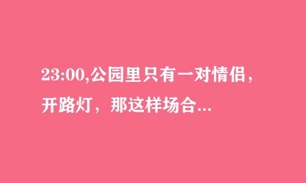 23:00,公园里只有一对情侣，开路灯，那这样场合适宜情侣亲热吗？