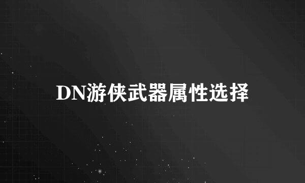 DN游侠武器属性选择