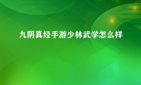 九阴真经手游少林武学怎么样