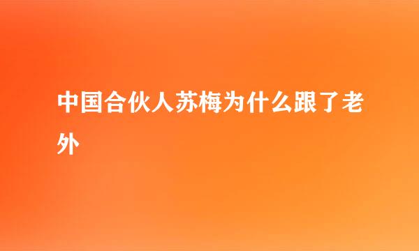 中国合伙人苏梅为什么跟了老外