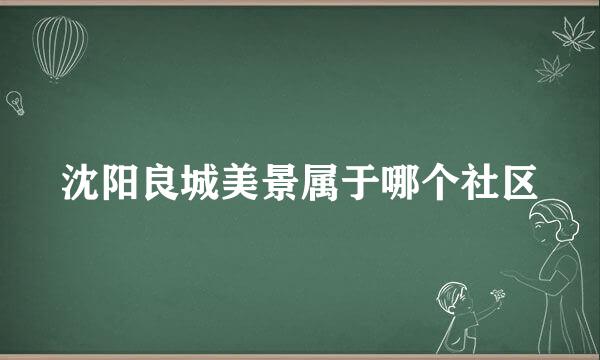 沈阳良城美景属于哪个社区