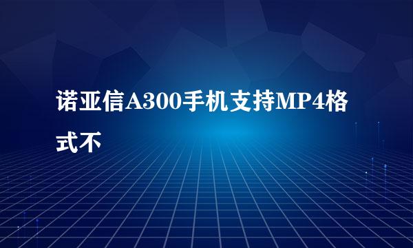 诺亚信A300手机支持MP4格式不