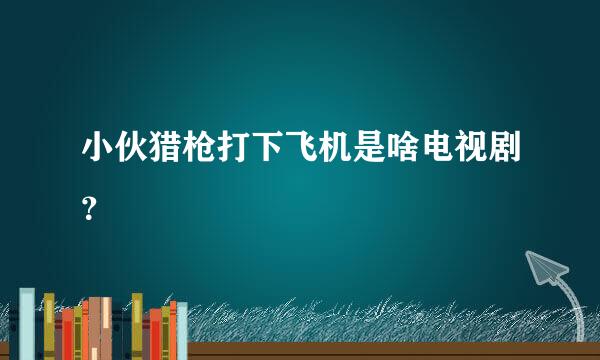 小伙猎枪打下飞机是啥电视剧？