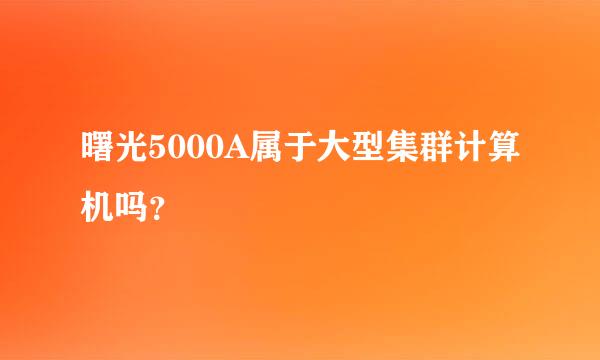 曙光5000A属于大型集群计算机吗？