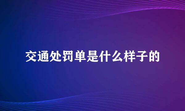 交通处罚单是什么样子的