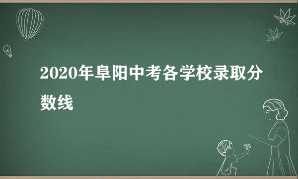 2020年阜阳中考各学校录取分数线