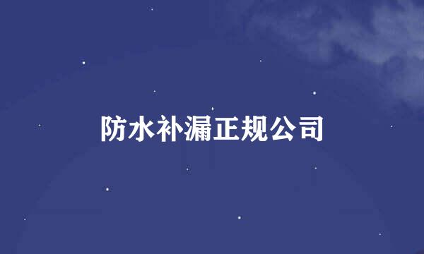 防水补漏正规公司