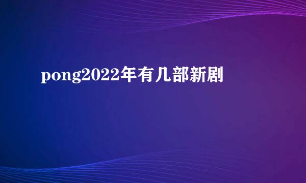 pong2022年有几部新剧