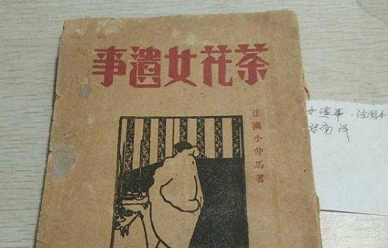 《茶花女遗事》的作者，朝代和小说简介谁有？谢谢！