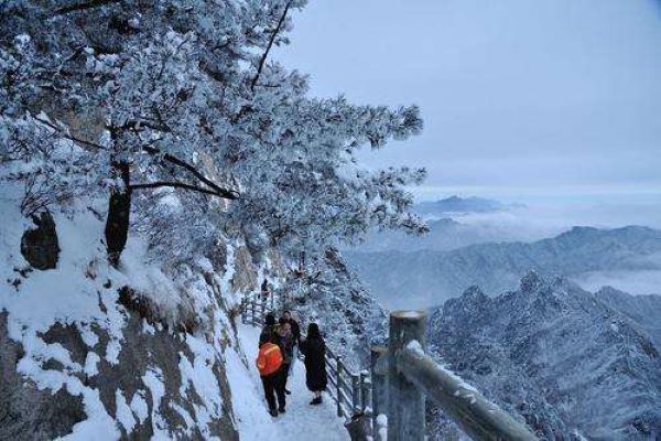 河南都有哪些景区飘起了鹅毛大雪？