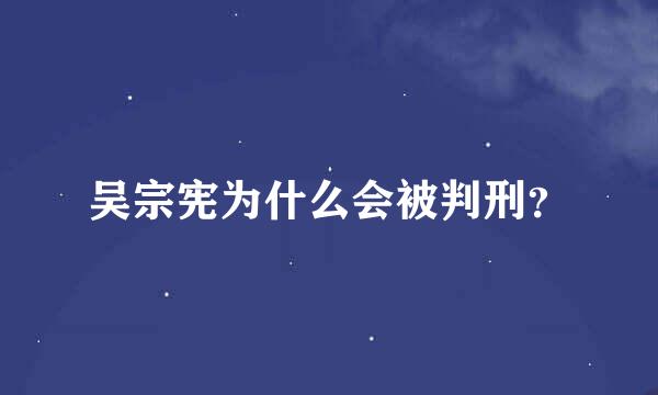 吴宗宪为什么会被判刑？