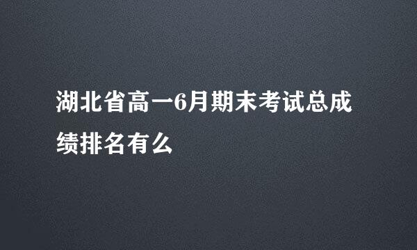 湖北省高一6月期末考试总成绩排名有么