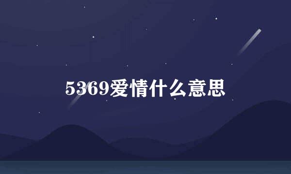 5369爱情什么意思