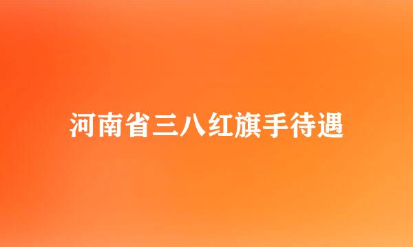 河南省三八红旗手待遇