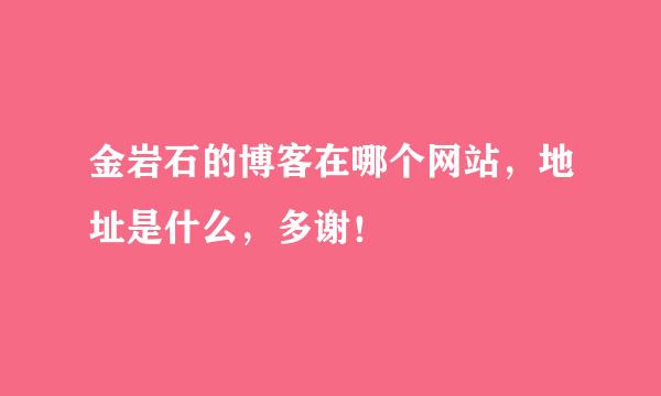 金岩石的博客在哪个网站，地址是什么，多谢！