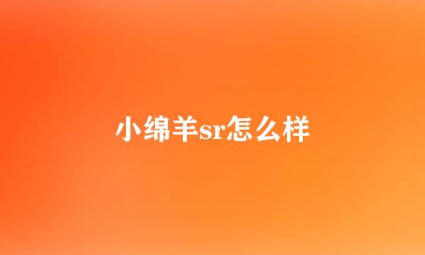 小绵羊sr怎么样