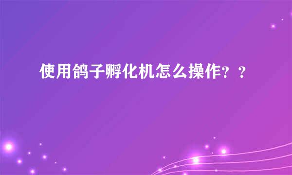 使用鸽子孵化机怎么操作？？