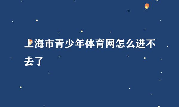 上海市青少年体育网怎么进不去了