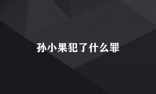 孙小果犯了什么罪