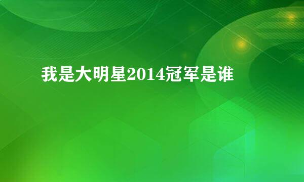 我是大明星2014冠军是谁