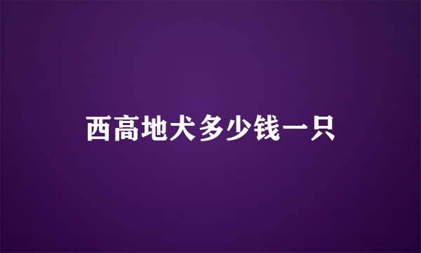 西高地犬多少钱一只