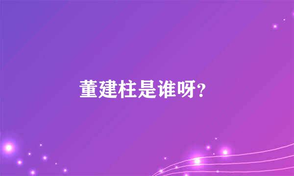 董建柱是谁呀？