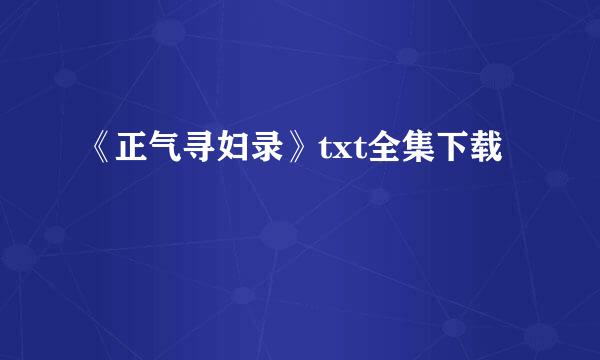 《正气寻妇录》txt全集下载